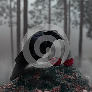 Raven In A Misty Forest With A Bloody Red Pomegranate