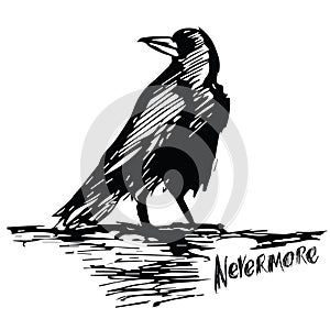 Raven and nevermore lettering, vector illustration