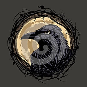 Raven on night background photo
