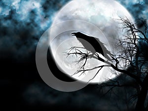 Raven on the Night Sky photo