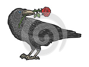 Raven with rose in beak sketch vector illustration