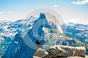 A Raven& x27;s View of Yosemite Half Dome from Glacier Point