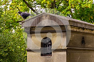 Raven sitting atop monument in PÃ¨re Lachaise Cemetery, Paris, France photo