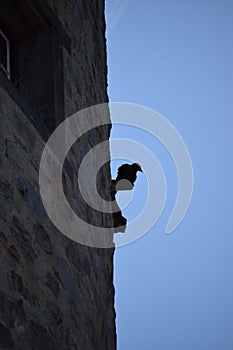 Raven on a Stone Tower