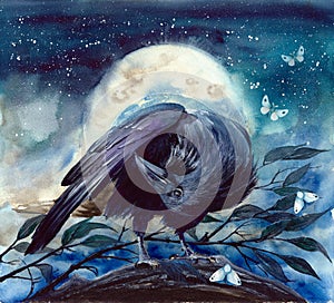 A raven on the tree branch with shining moon
