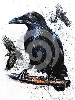 Raven watercolor black bird painting art