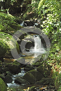 Ravene and waterfall