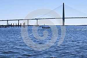 Ravenel Jr Bridge over Cooper River