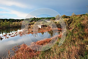 Ravenna, Emilia Romagna, Italy: landscape of the wetland with fishing huts in the nature reserve Po Delta Park