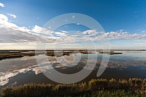 Ravenna - Swampland water reflecion - italy