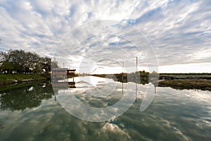 Ravenna - Swampland water reflecion - italy