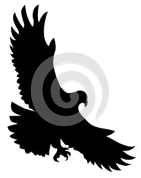 Ravenous bird photo