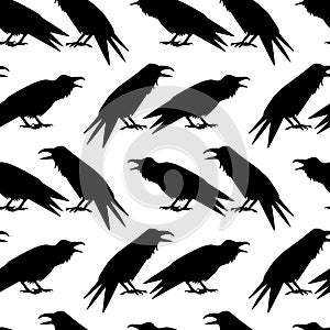 Ravens seamless pattern