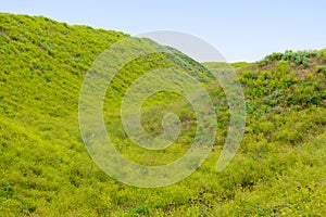 Ravine and hills covered with grass on a summer day