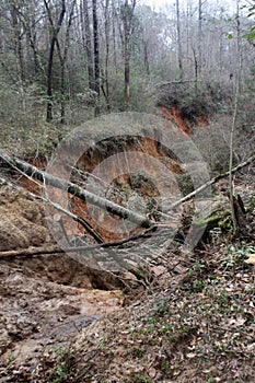 Ravine made by water rushing after a hard rain