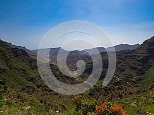 Ravine of MogÃ¡n from a viewpoint in GC-605 road, MogÃ¡n, Gran Canaria Island, Spain 04 26 2018.