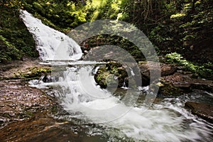 Ravine stream in the Black Mountain Valley