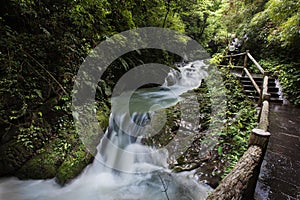 Ravine stream in the Black Mountain Valley