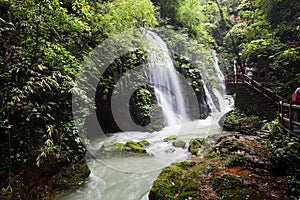 Ravine stream in the Black Mountain Valley