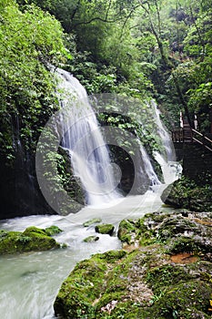 Ravine stream in the Black Mountain Valley