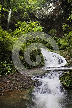 Ravine stream in the Black Mountain Valley