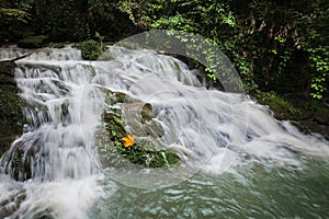 Ravine stream in the Black Mountain Valley photo