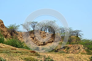 Ravines of chambal