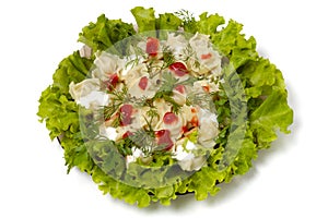 Ravioli with greens sour cream and ketchup dish isolated