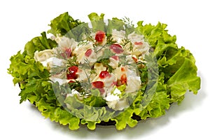 Ravioli with greens sour cream and ketchup dish isolated