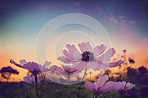 Ravishing closeup flower scenery in natural landscape with starry night sky.