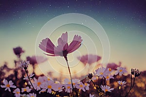 Ravishing closeup flower scenery in natural landscape with starry night sky.