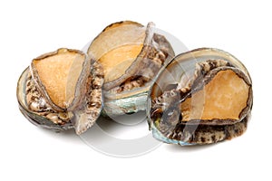 Raw abalone