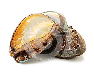 Raw abalones