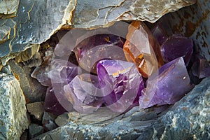 Raw amethyst and smoky quartz crystals nestled in rock crevice with natural earth tones