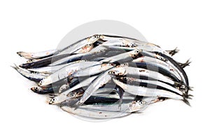 Raw anchovies