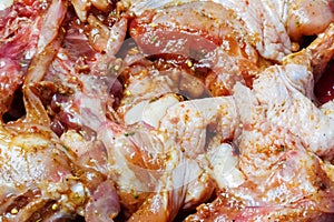Raw appetizing marinated spices chicken meat close-up