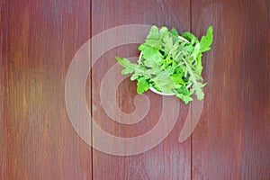 Raw arugula lettuce in a white plate on a wooden table