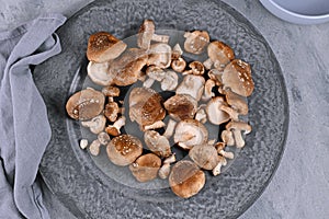 Raw Asian edable and medicinal shiitake mushrooms on gray plate