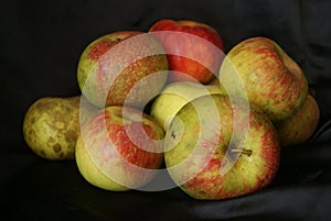 Raw autumn fresh fruits as apples