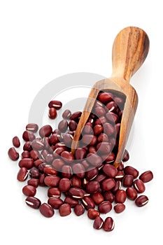 Raw azuki beans