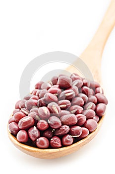 Raw azuki beans.