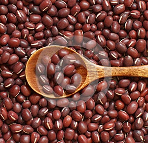 Raw azuki beans with a spoon