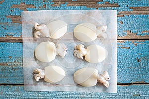 Raw babies cuttlefish on rustic background