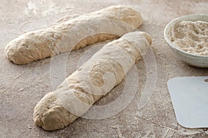 Raw baguette dough with whole grain rye flour. Copy space.