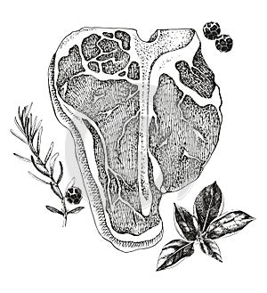 Raw beef porterhouse steak vector