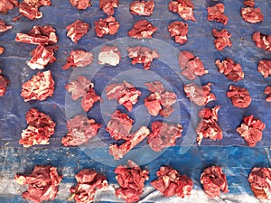 Raw beef or qurban meat photo