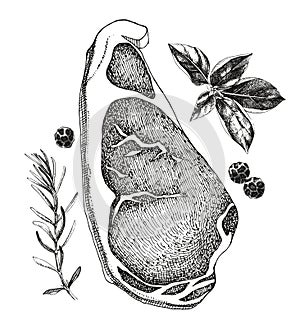 Raw beef sirlion steak vector