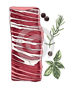 Raw beef skirt steak vector