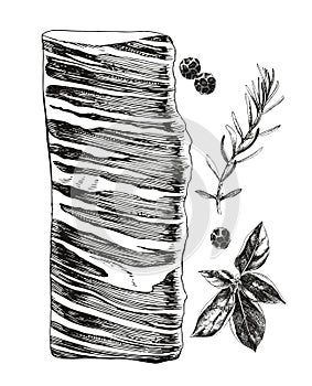 Raw beef skirt steak vector