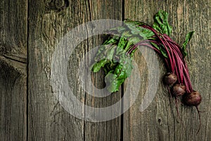 Raw beetroot with herbage leaves on a dark background. banner, menu, recipe place for text, top view